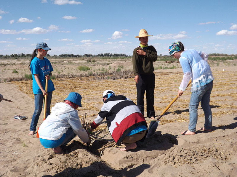 �@�N1.5��Ҋ�������ݸ�������ɳЧ����������^4��5���͕��L�g��������Ҫ�����a����