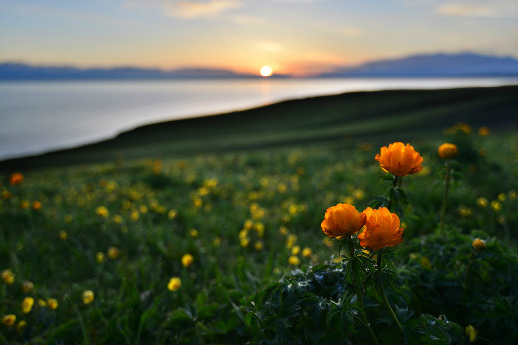 ���(hu��)�����l(xi��ng)�ĸ�᣿