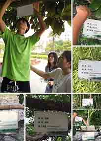 �K���r�WԺ�OӋУ�@ֲ����Ƭ�������K�r�Gɫ���}