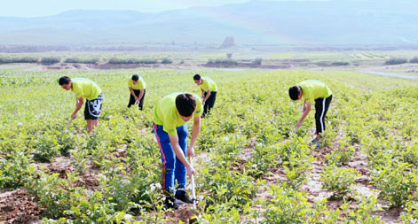 ɽ����ͬ��W���ǻ����ơ��l��־Ը���ՈF���M�l������