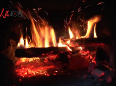 �t��t����~�ף�������ʳ���ρ�