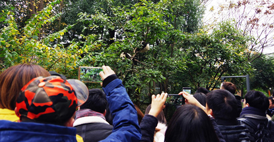 �@�����ӵ������ɶ����W(w��ng)�j(lu��)���ˁ��c(di��n)ٝ