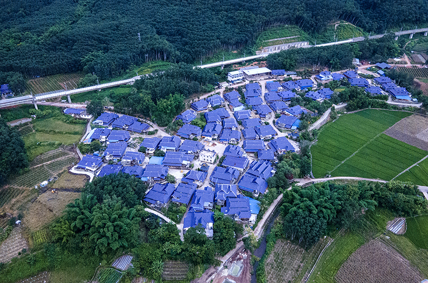 磨憨鎮曼莊村大龍哈小組現代化邊境幸福村新貌。人民網記者 符皓攝